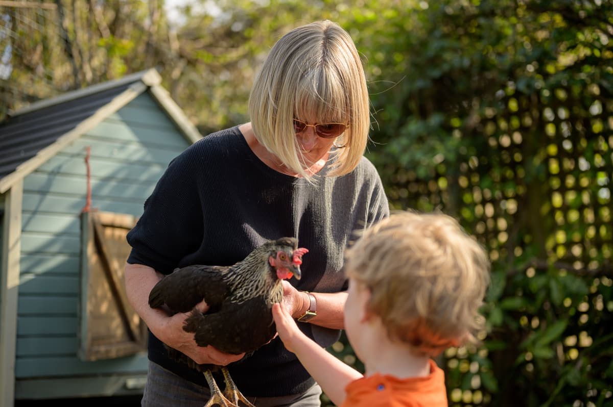 A grandmother and grandchild meeting a backyard chicken
